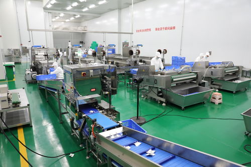 拜泉縣 技術咨詢賦能重點項目，全力開創建設新局面